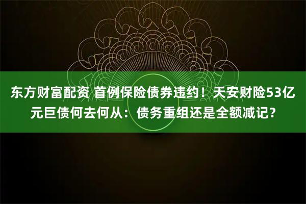 东方财富配资 首例保险债券违约！天安财险53亿元巨债何去何从：债务重组还是全额减记？
